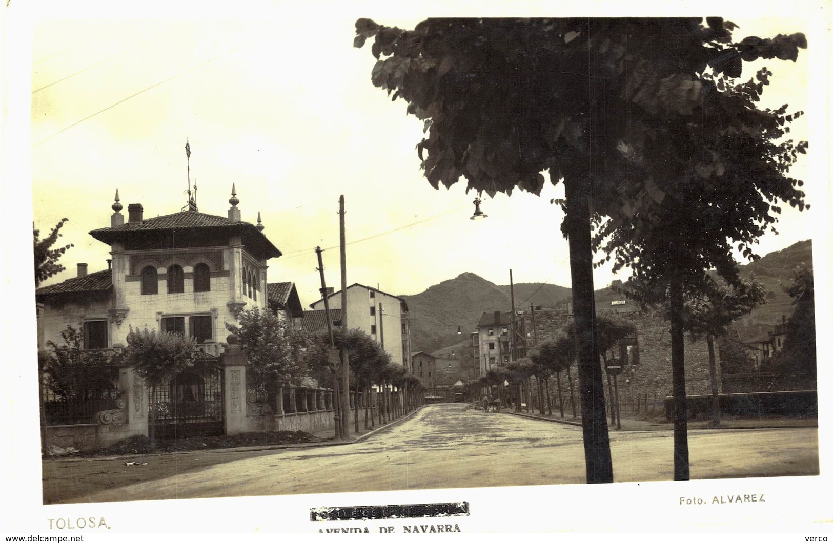 Carte POSTALE  Ancienne De TOLOSA - Avenida De NAVARRA - Altri & Non Classificati