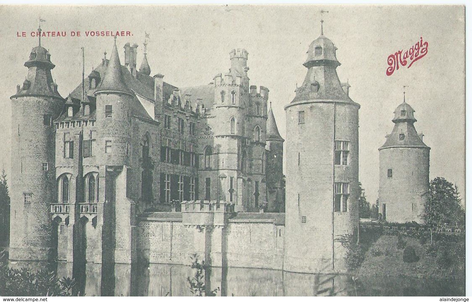 Vosselaar - Vosselaer - Le Château De Vosselaer - Vosselaar
