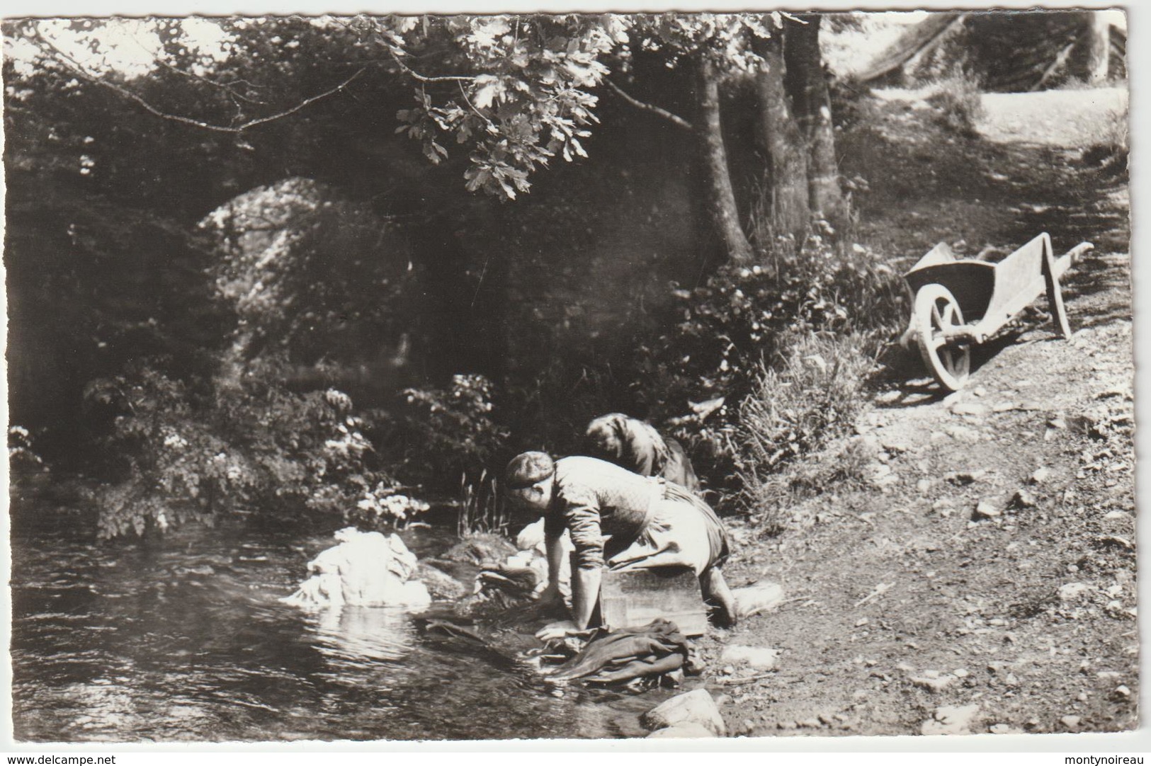 Manche :  Activité  Rurales , Lavoir , Laveuse , Brouette - Autres & Non Classés