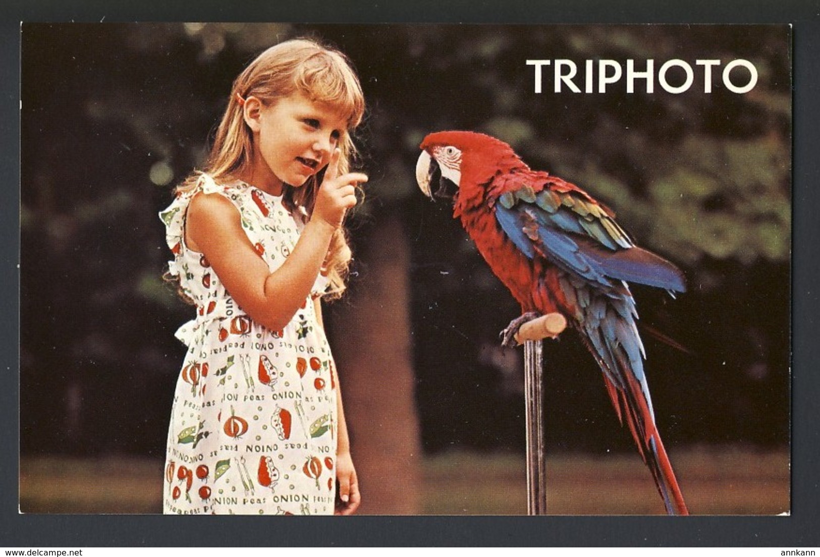 Bird Exotic Looking Macaw, Little Girl - Triphoto - Advertising - Oiseaux