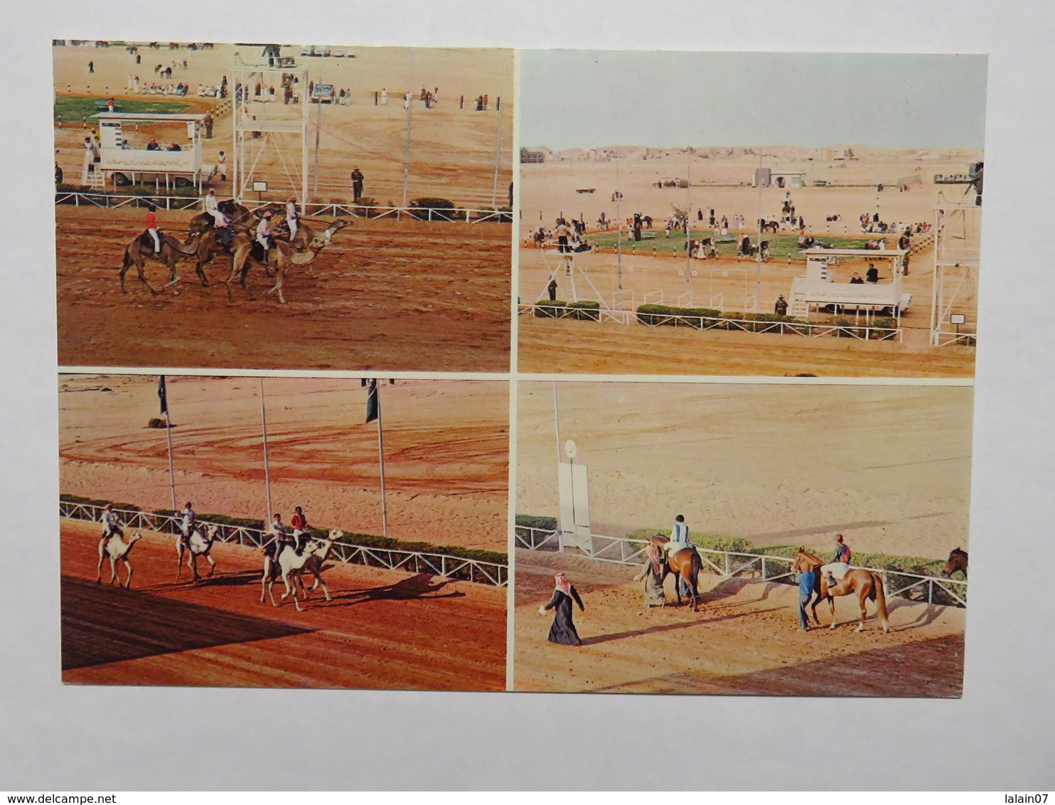 Postcard : SAUDI ARABIA : 4 Views : The Horse And Camel Race Track RIYADH - Arabie Saoudite