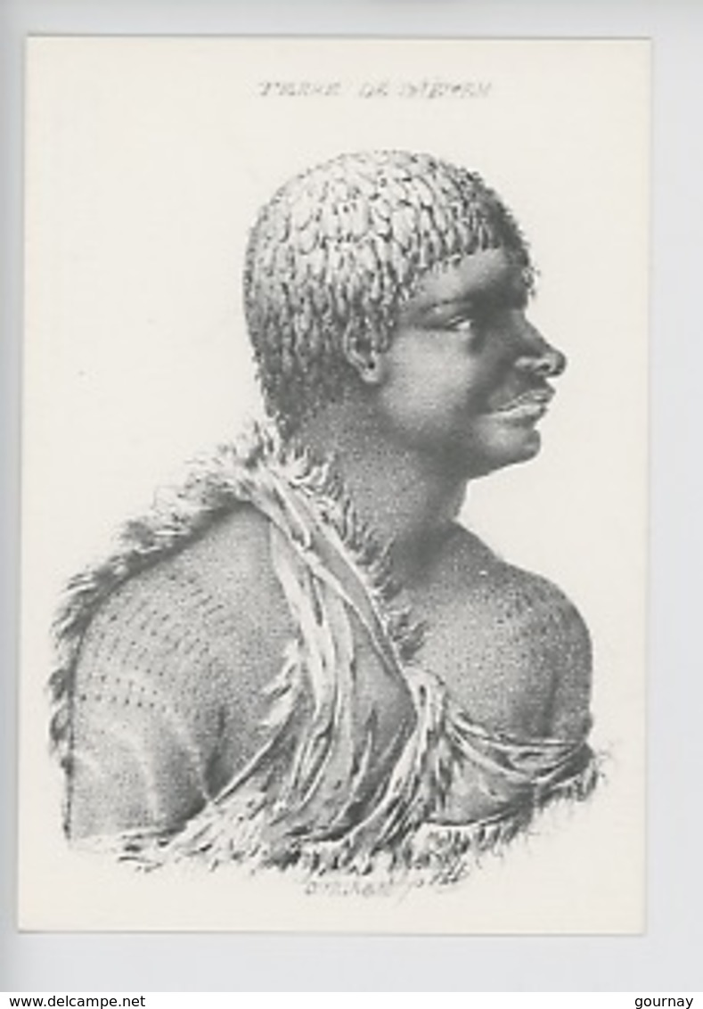 Nicolas-Martin Petit Illustrateur : Indigène De Tasmanie 1801-1803 (crayon Ombré) Terre De Diemen Australie - Aborigines