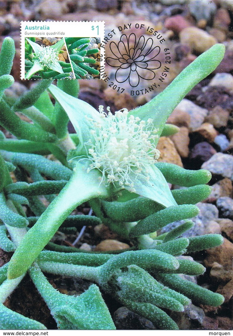 35042. Tarjeta Maxima BOTANY (Australia) 2019. Cactus, Gunniopsis Quadrifida - Cactus