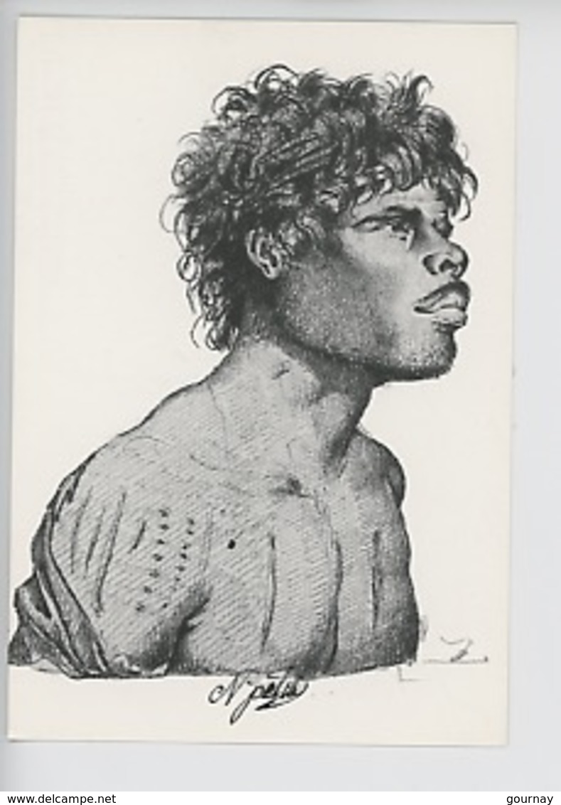 Nicolas-Martin Petit Illustrateur : Indigène D'Australie 1801-1803 (crayon Ombré)  Cp Vierge - Aborigines