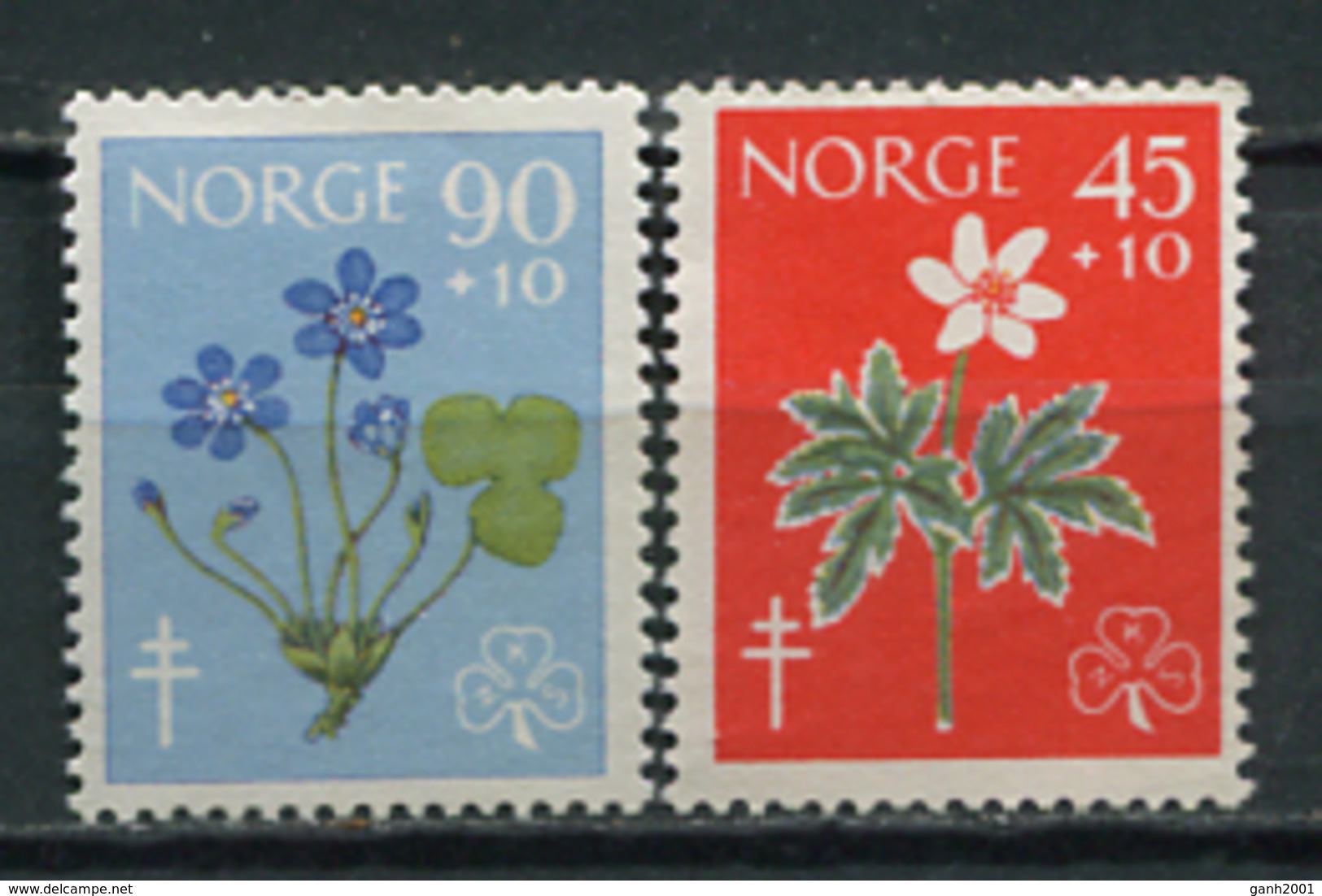 Noruega 1960 Norway  / Flowers MNH Flores Blumen Fleurs / Cu5629  1-64 - Otros & Sin Clasificación