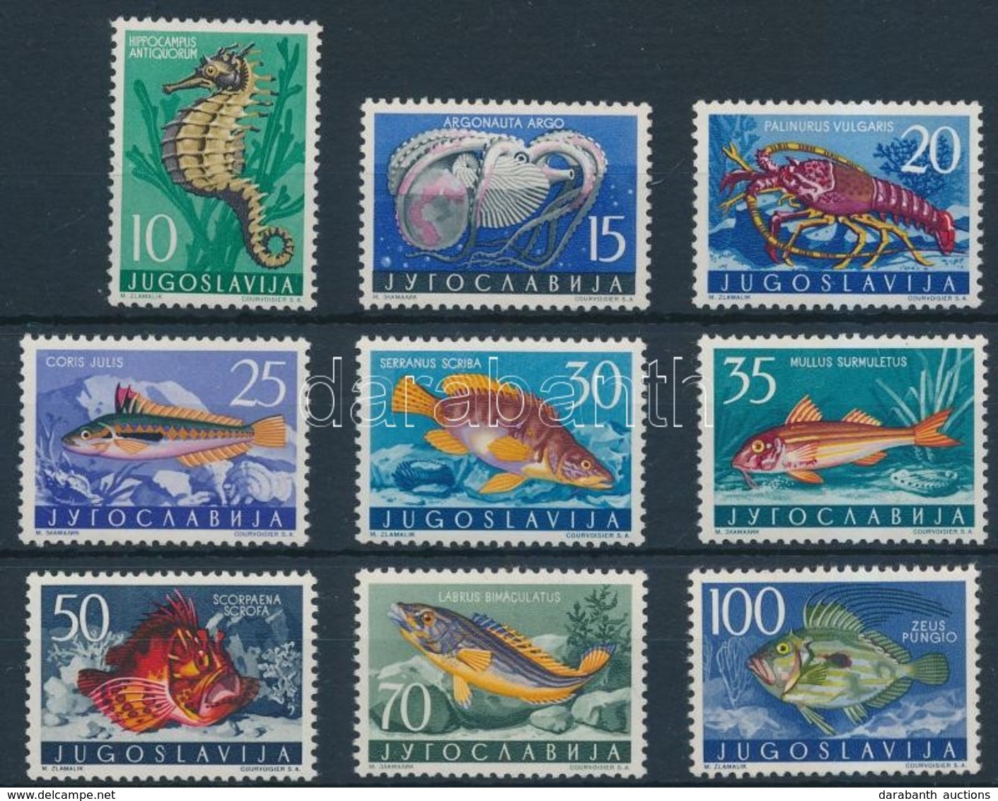 ** 1956 Állatok (II.) Halak Sor Mi 795-803 - Otros & Sin Clasificación