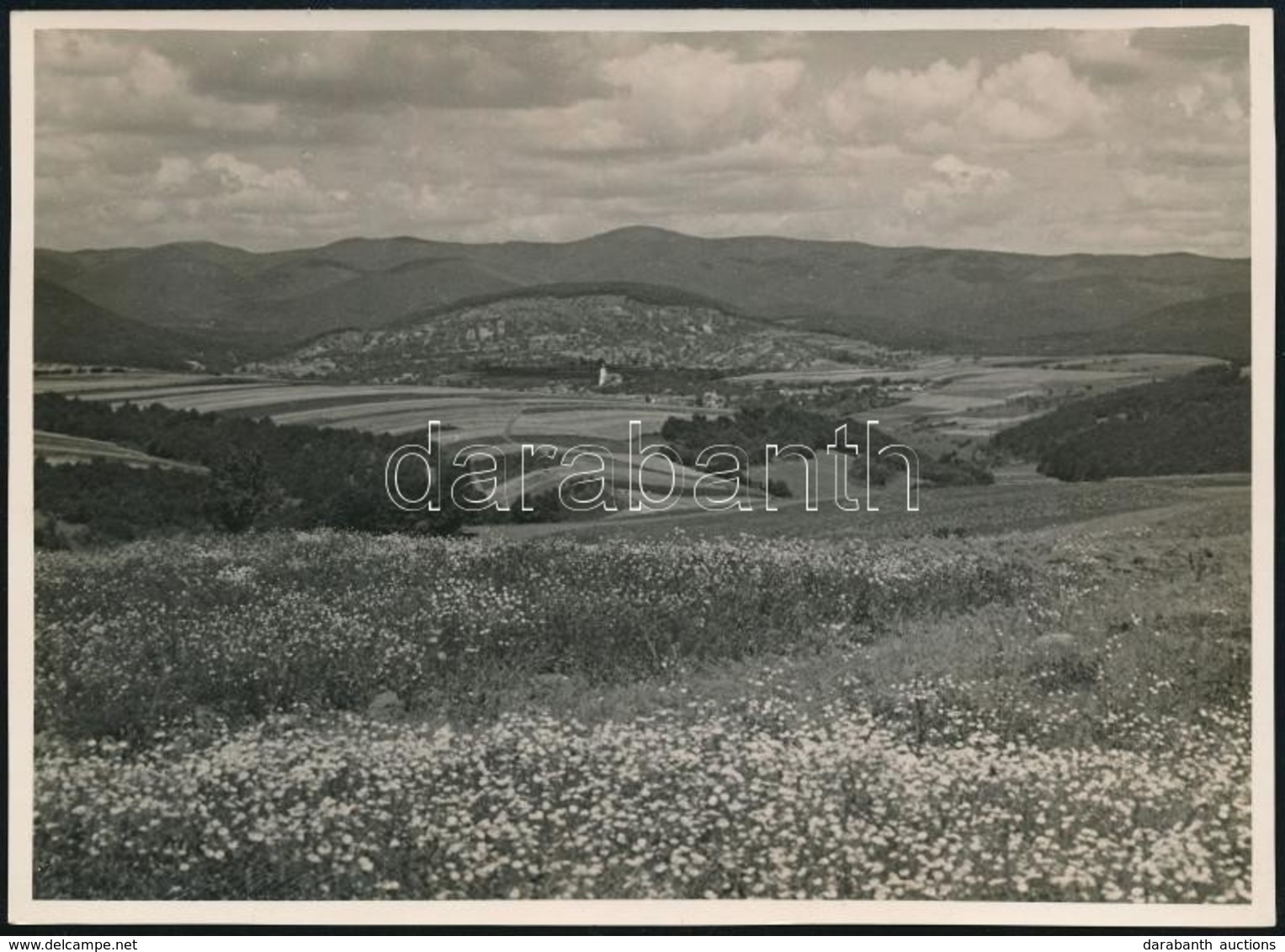 1934 Kinszki Imre (1901-1945) Budapesti Fotóművész Hagyatékából, Pecséttel Jelzett Vintage Fotó, A Szerző által Datálva  - Sonstige & Ohne Zuordnung