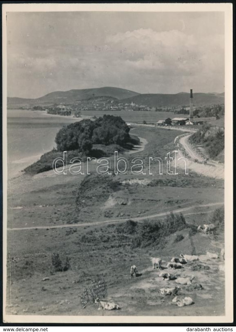 1935 Kinszki Imre (1901-1945) Budapesti Fotóművész Hagyatékából, Pecséttel Jelzett Vintage Fotó, A Szerző által Datálva  - Otros & Sin Clasificación