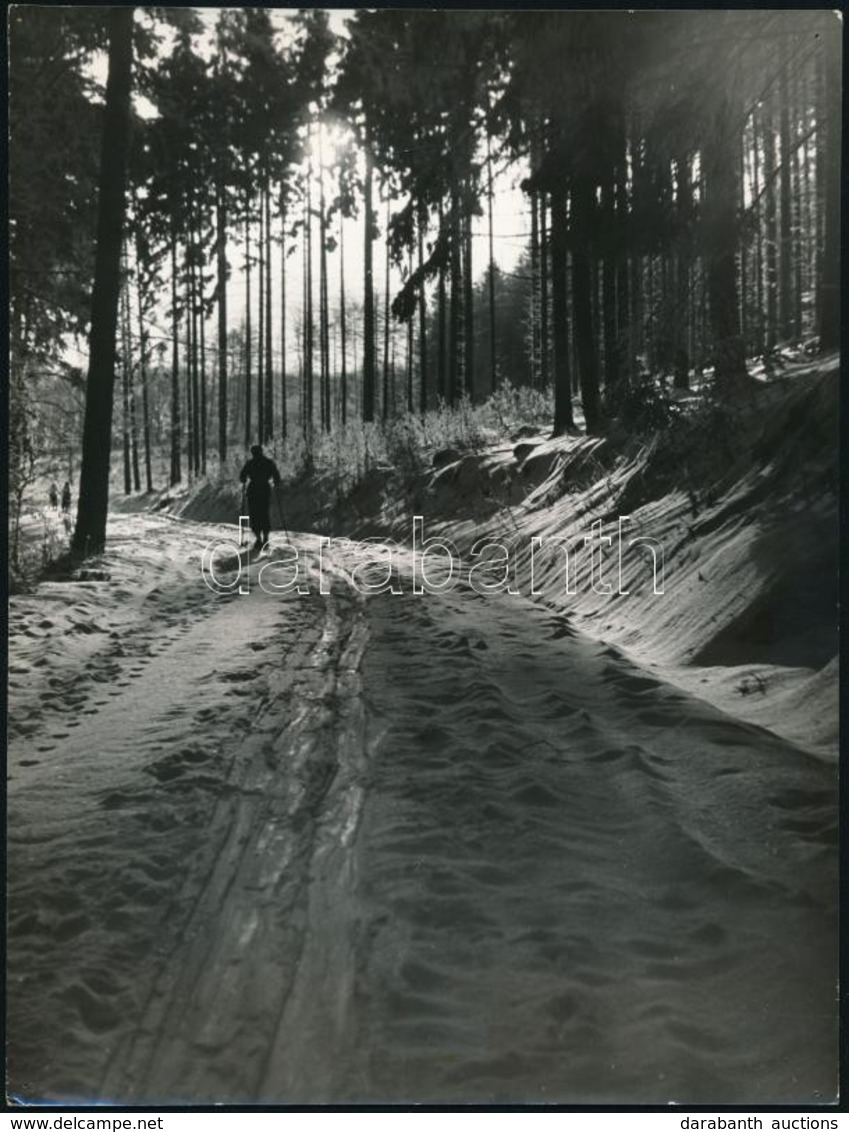 Cca 1960 Árokay József: Téli Kirándulás A Sátoros-hegyekben, Pecséttel Jelzett, Feliratozott, 24x18 Cm +  	
Cca 1950 Áro - Sonstige & Ohne Zuordnung