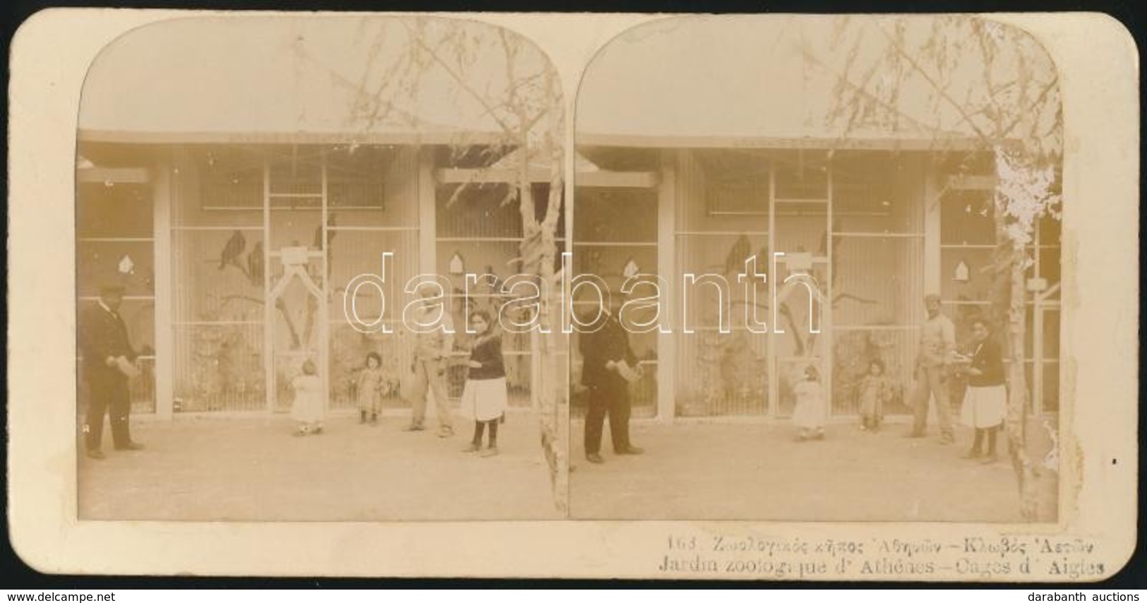 Cca 1900 Állatkert Athénban, Sztereófotó, Feliratozva, 9x18 Cm - Sonstige & Ohne Zuordnung