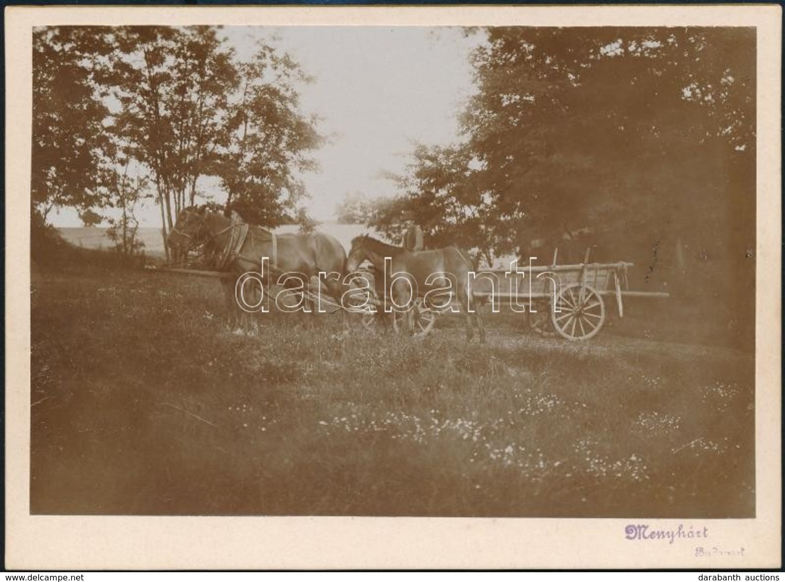 Cca 1910 Lovasszekér Pecséttel Jelzett Fotó 11x17 Cm - Sonstige & Ohne Zuordnung