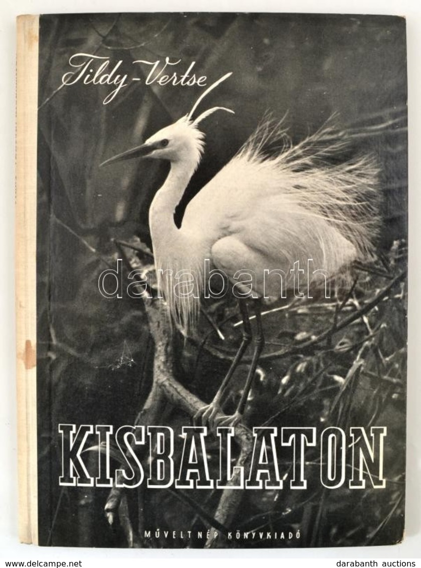 Ifj. Tildy Zoltán: Kisbalaton. Vertse Albert Bevezetőjével. Ifj. Tildy Zoltán Fotóival. Bp.,1953,Művelt Nép, 92+3 P.
Els - Sin Clasificación