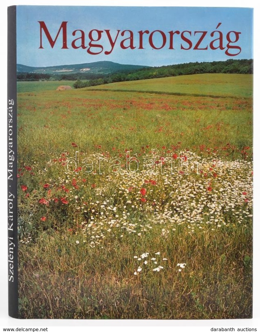 Szelényi Károly: Magyarország. Bp., 1986. Képzőművészeti Kiadó. Illusztrált Védőborítóval - Sin Clasificación