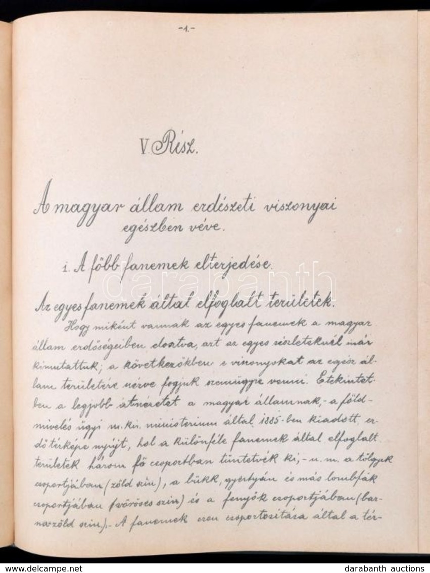 1894 Erdészeti Statisztika. Hn.,1894, Nyn., 233+2+133+3 P. Aranyozott Gerincű Egészvászon-kötés, Foltos, Kopott Borítóva - Ohne Zuordnung