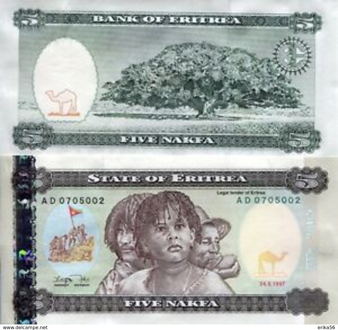BILLET ÉRYTHRÉE  5 NAKFA - Eritrea