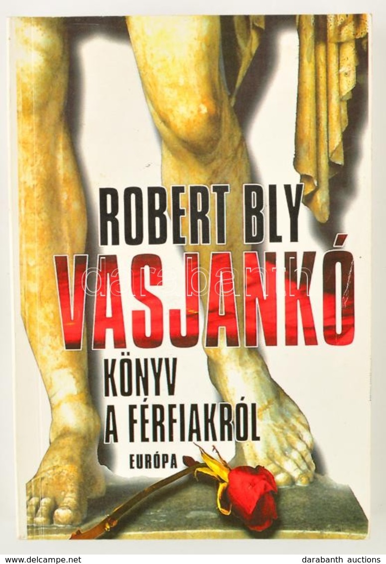 Robert Bly: Vasjankó. Könyv A Férfiakról. Bp.,2000, Európa. Kiadói Papírkötés. - Sin Clasificación