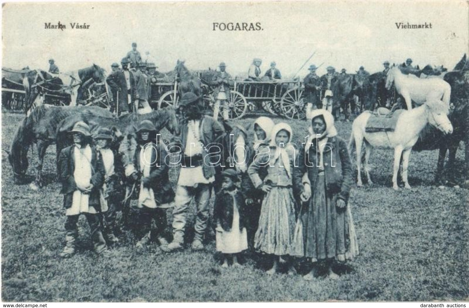 ** T4 Fogaras, Fagaras; Marha Vásár. Thierfeld Dávid Kiadása / Viehmarkt / Cattle Market (ragasztónyom / Gluemark) - Sin Clasificación