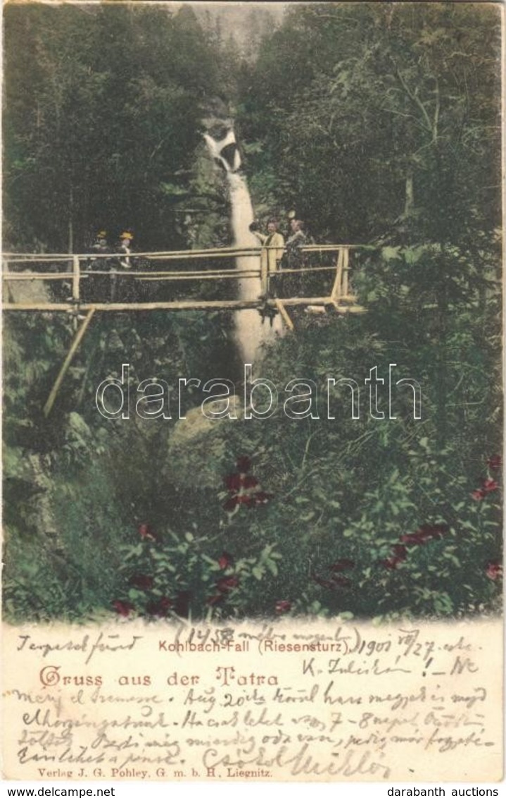 T2 1901 Tátra, Vysoké Tatry; Tarpataki Vízesés / Kohlbach-Fall (Riesensturz) / Waterfall - Sin Clasificación