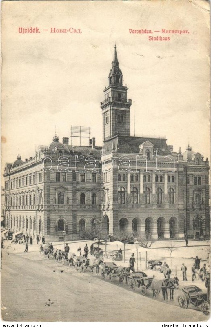 T2/T3 1909 Újvidék, Novi Sad; Városháza, Lovaskocsik / Town Hall, Horse Carts (EK) - Ohne Zuordnung