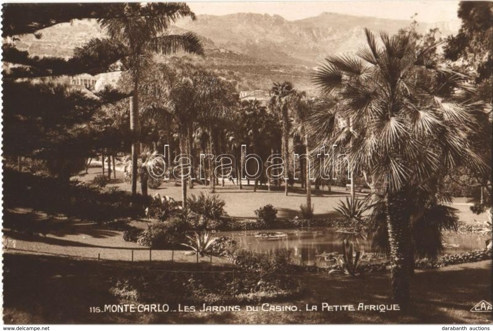 ** T1/T2 Monte-Carlo, Les Jardins Du Casino, La Petite Afrique / Gardens Of The Casino, 'Little Africa', Photo - Sonstige & Ohne Zuordnung