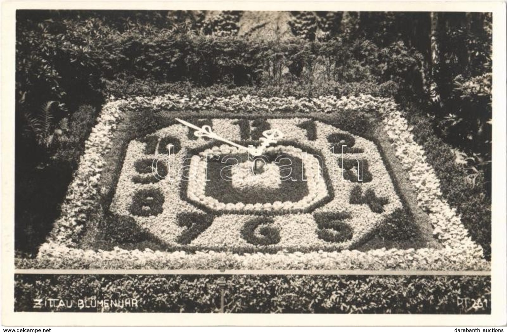 ** T1 Zittau, Blumenuhr / Flower Clock, Photo - Ohne Zuordnung