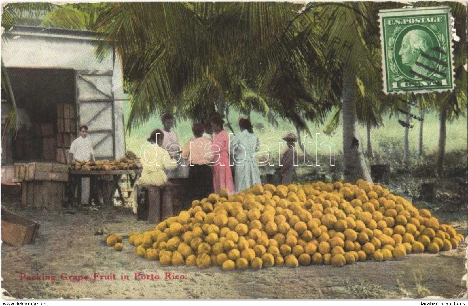 T2/T3 Puerto Rico, Packing Grape Fruit In Porto Rico, TCV Card (EK) - Ohne Zuordnung