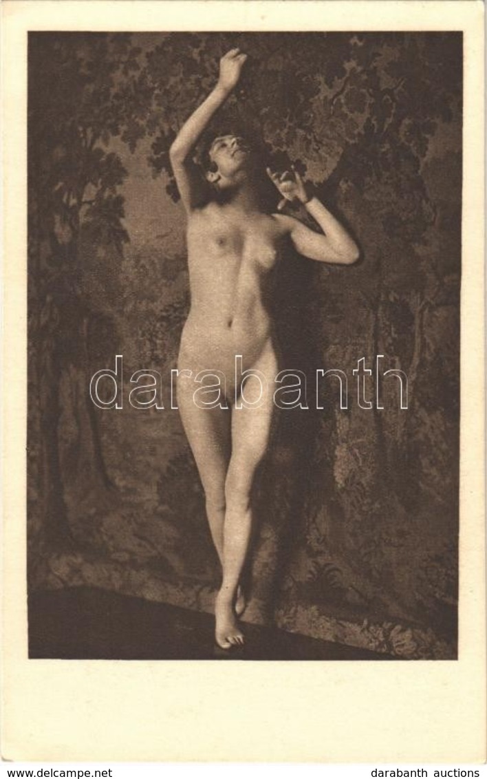 ** T1 Erotic Nude Lady. Phot. Schieberth, Kilophot A. 18. - Sin Clasificación