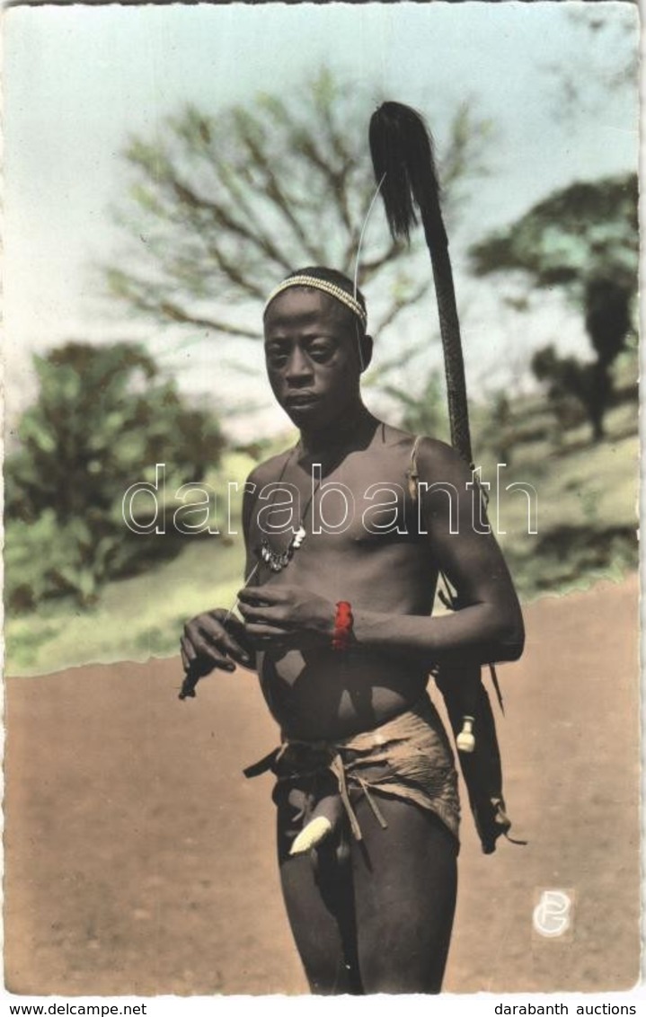 ** T2 Guinée Francaise, Bassari Au Sabre Empanaché / Bassari Warrior With Plumed Sabre, Guinean Folklore - Ohne Zuordnung