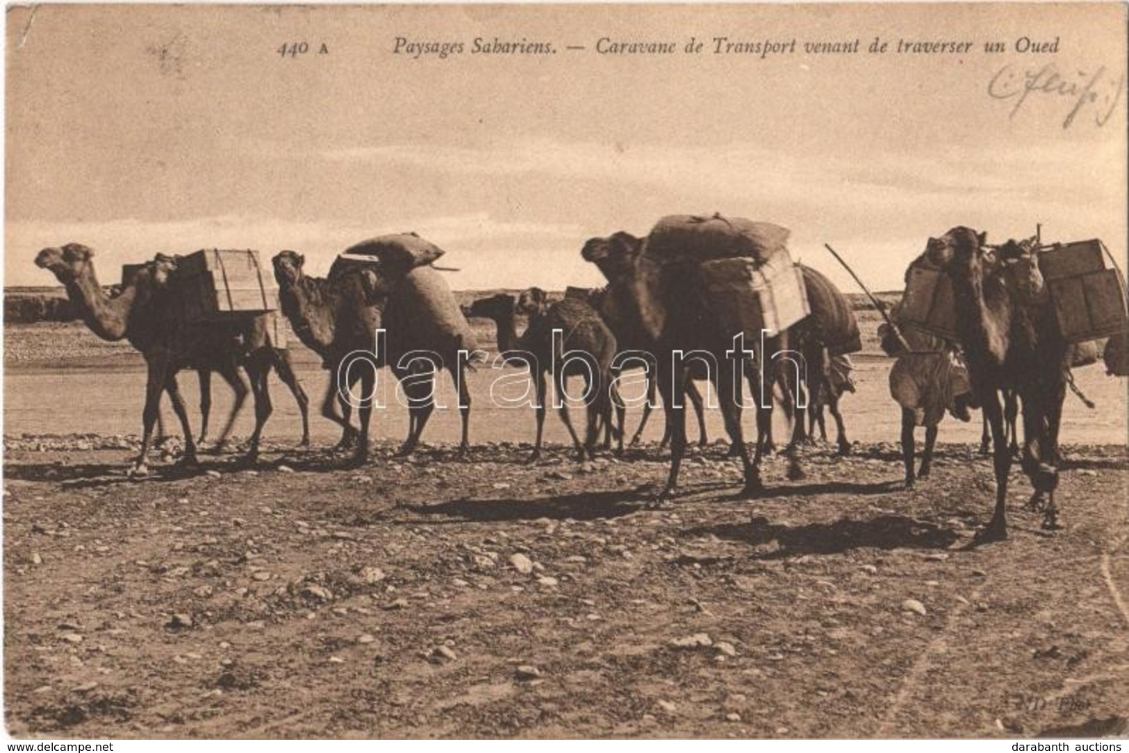 T2/T3 Paysages Sahariens, Caravane De Transport Cenant De Traverser Un Oued / Saharan Landscapes, Camel Caravan, Folklor - Sin Clasificación