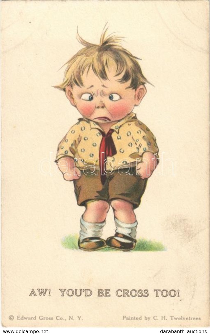 ** T2 'Aw! You'd Be Cross Too!', Child, Humour, Edward Gross Co. Twelvetrees No. 15. Litho - Sin Clasificación