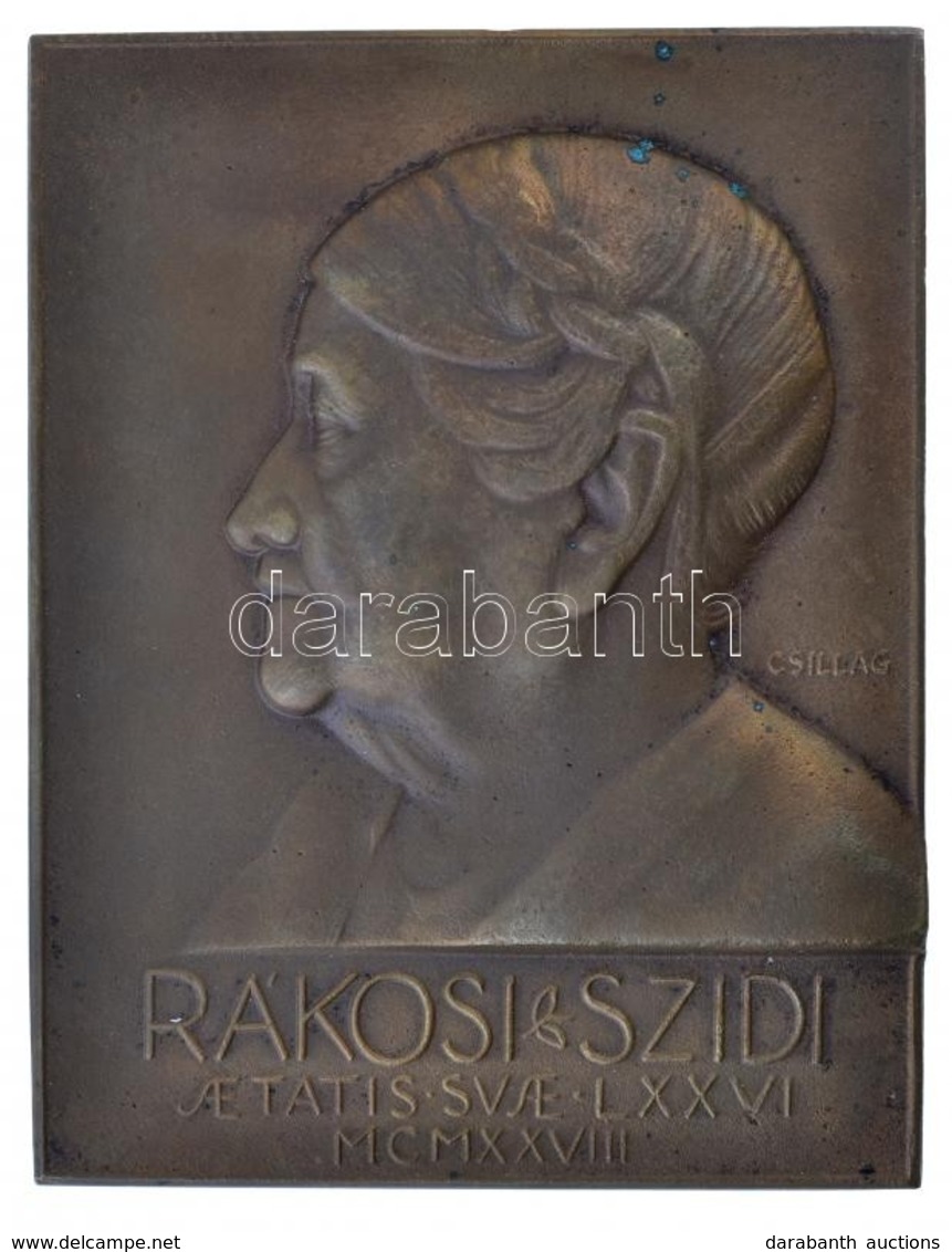 Csillag István (1881-1968) 1928. 'Rákosi Szidi - Aetatis Svae' Színésznő Br Emlékplakettje, Hátoldalán 'LUDVIG BPEST' Gy - Sin Clasificación