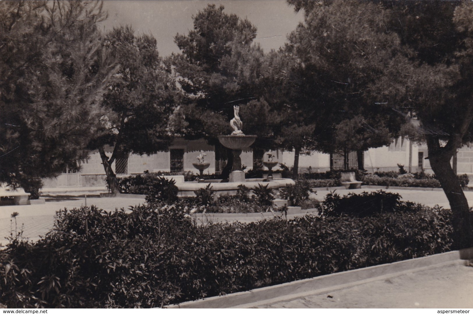 TORRE-PACHECO, MURCIA - FUENTE ORNAMENTAL EN LA PLAZA DE JOSE ANTONIO. ESPAÑA POSTAL CIRCULATED IN 1960 -LILHU - Murcia