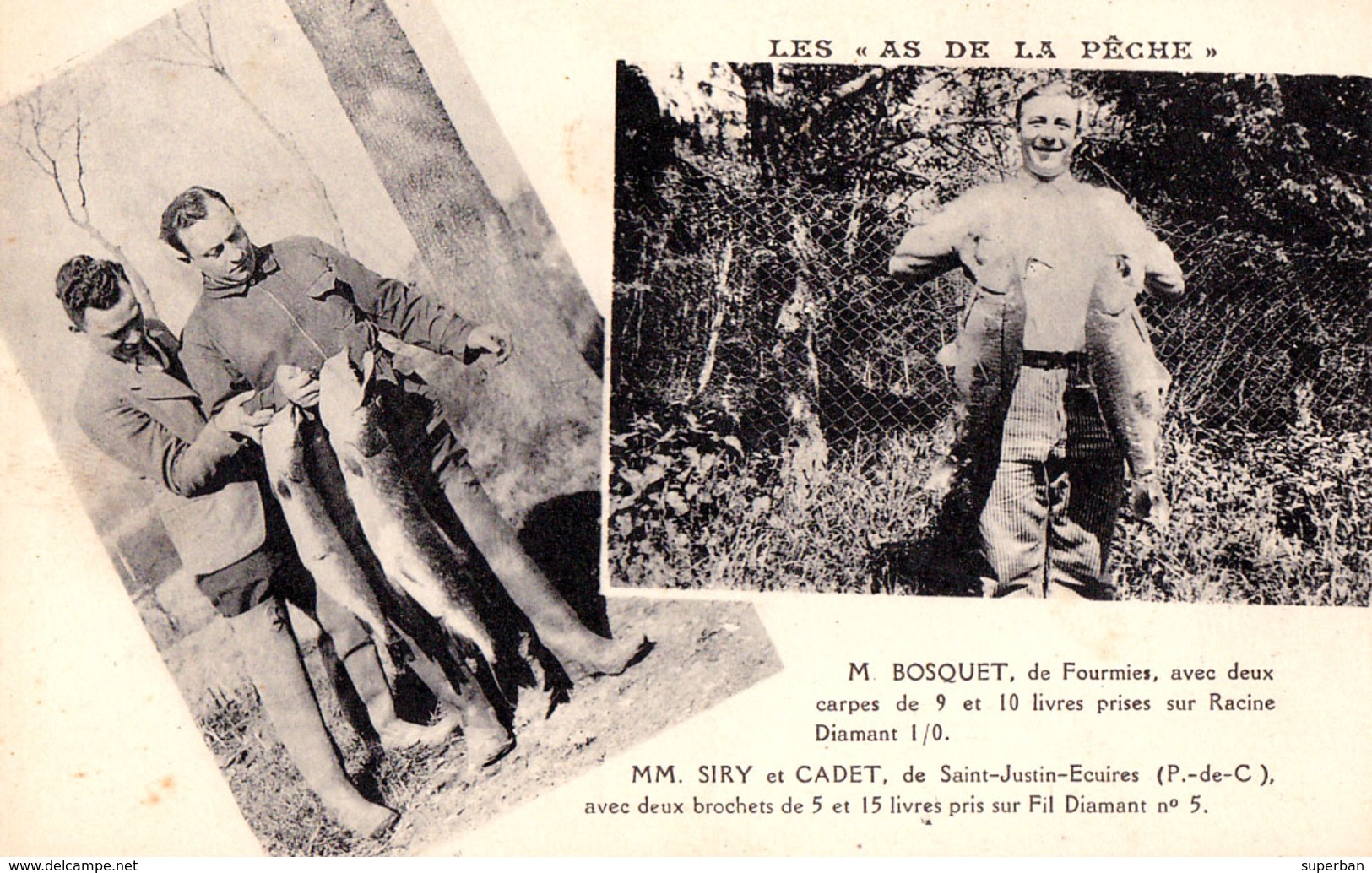 LES AS DE LA PÊCHE : M. BOSQUET De FOURMIES Avec DEUX CARPES De 9 Et 10 LIVRES... - LE FIL DIAMANT ~ 1930 (ad536) - Fourmies