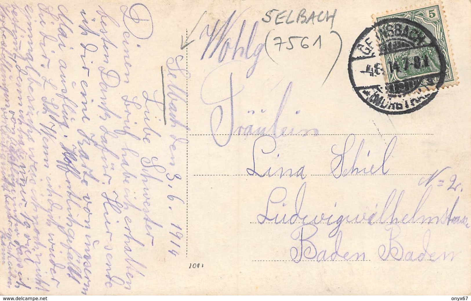 Carte  Photo Allemand SELBACH-GAGGENAU (Deutschland-Bade-Wurtemberg) Promeneurs En Ballade Stempel Gernsbach Murgthal - Gaggenau