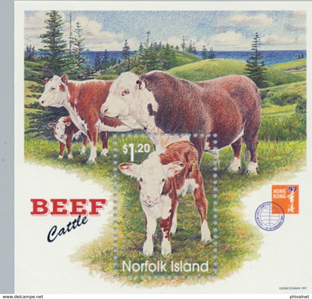 1997 ,NORFOLK ISLANDS , BEEF CATTLE , MAMÍFEROS , ANIMALES DOMÉSTICOS , VACAS , COWS , GANADO , GANADERIA - Mucche