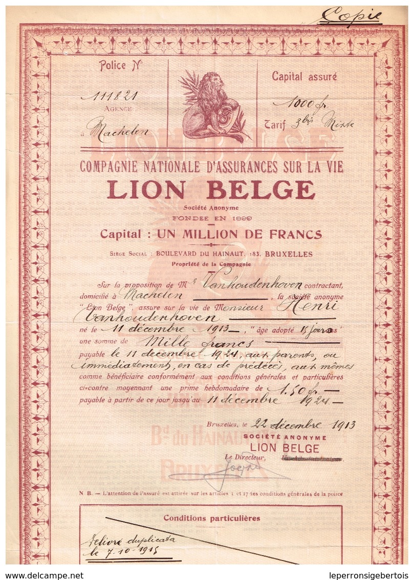 Titre Ancien - Compagnie Nationale D'Assurances Sur La Vie  - Lion Belge - Titre De 1913 - - Banque & Assurance