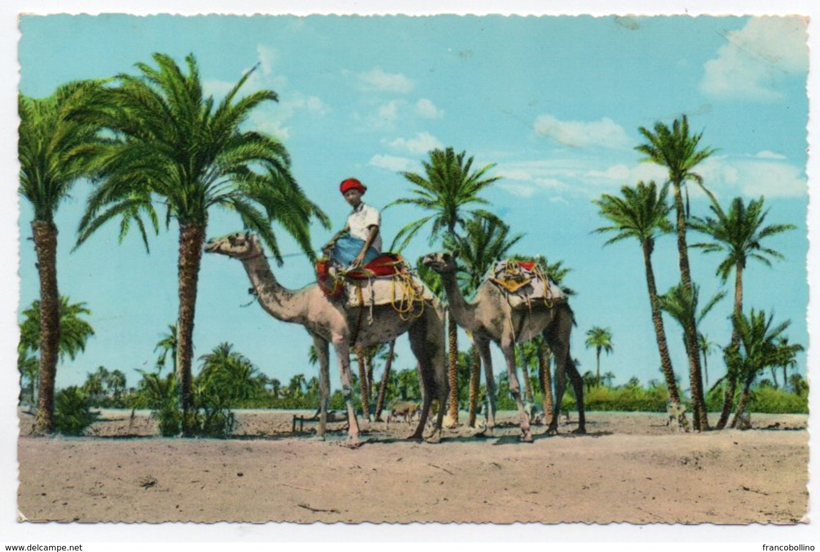 ADEN/YEMEN - CAMELS PASSING TROUGH PALM TREES-LAHEJ / WITH FEDERATION OF SOUTH ARABIA STAMP - 1967 - Yemen