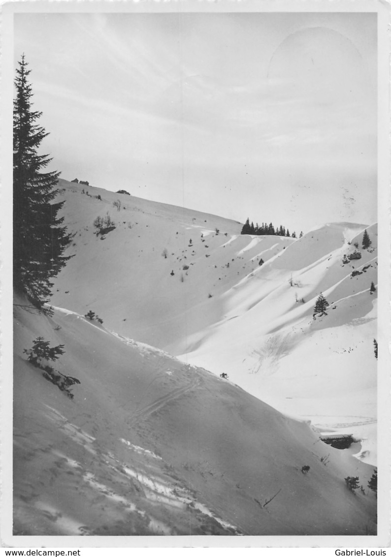 Hochalp Ob Urnäsch - Schwägalp Säntis -  Gasthaus Hochalp (10 X 15 Cm) - Urnäsch