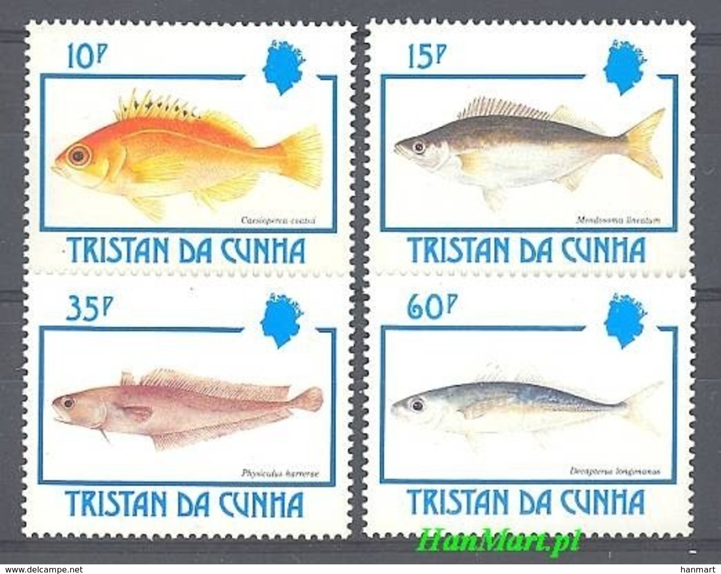 Tristan Da Cunha 1992 Mi 526-529 MNH ( ZS6 TDC526-529 ) - Fishes