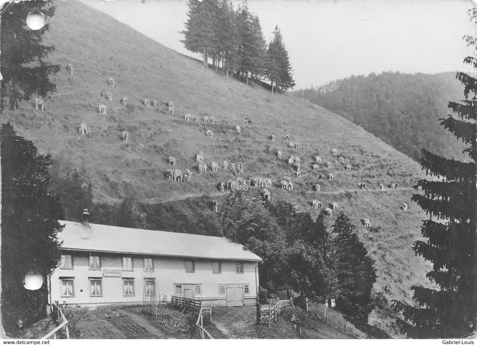 Restaurant Tierhag Alp Schnebelhorn - Fischenthal - Bauma (10 X 15 Cm) - Bauma