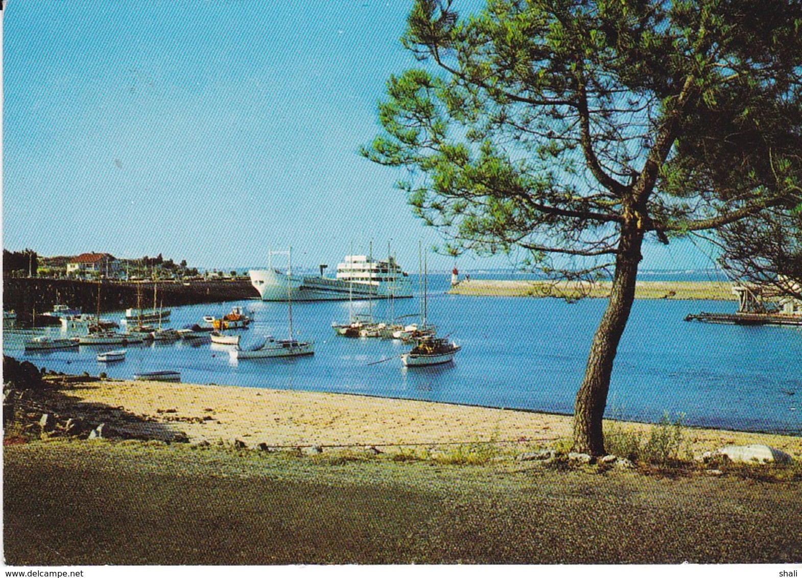 CPSM POINTE DE GRAVE LE VERDON SUR MER PORT BLOC - Autres & Non Classés