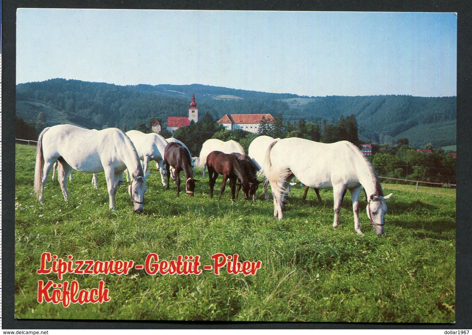 Lipizzanergestüt Piber - Köflach - Stiermarken - Osterreich.  - NOT Used - See The 2 Scans For Condition( Originaal) - Köflach