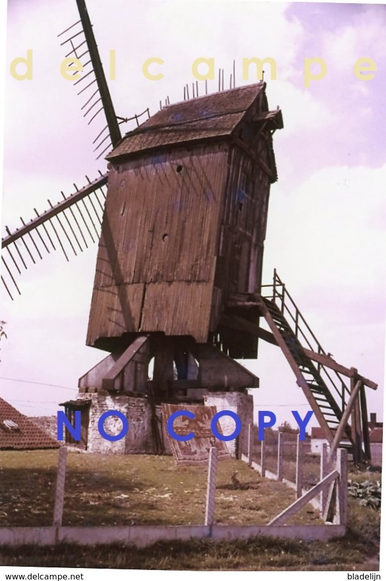 ZINGEM - Gemeente Kruisem (O.Vl.) - Molen/moulin - Historische Foto Van Meuleke 't Dal Voor De Restauratie Ca. 1960 - Lieux