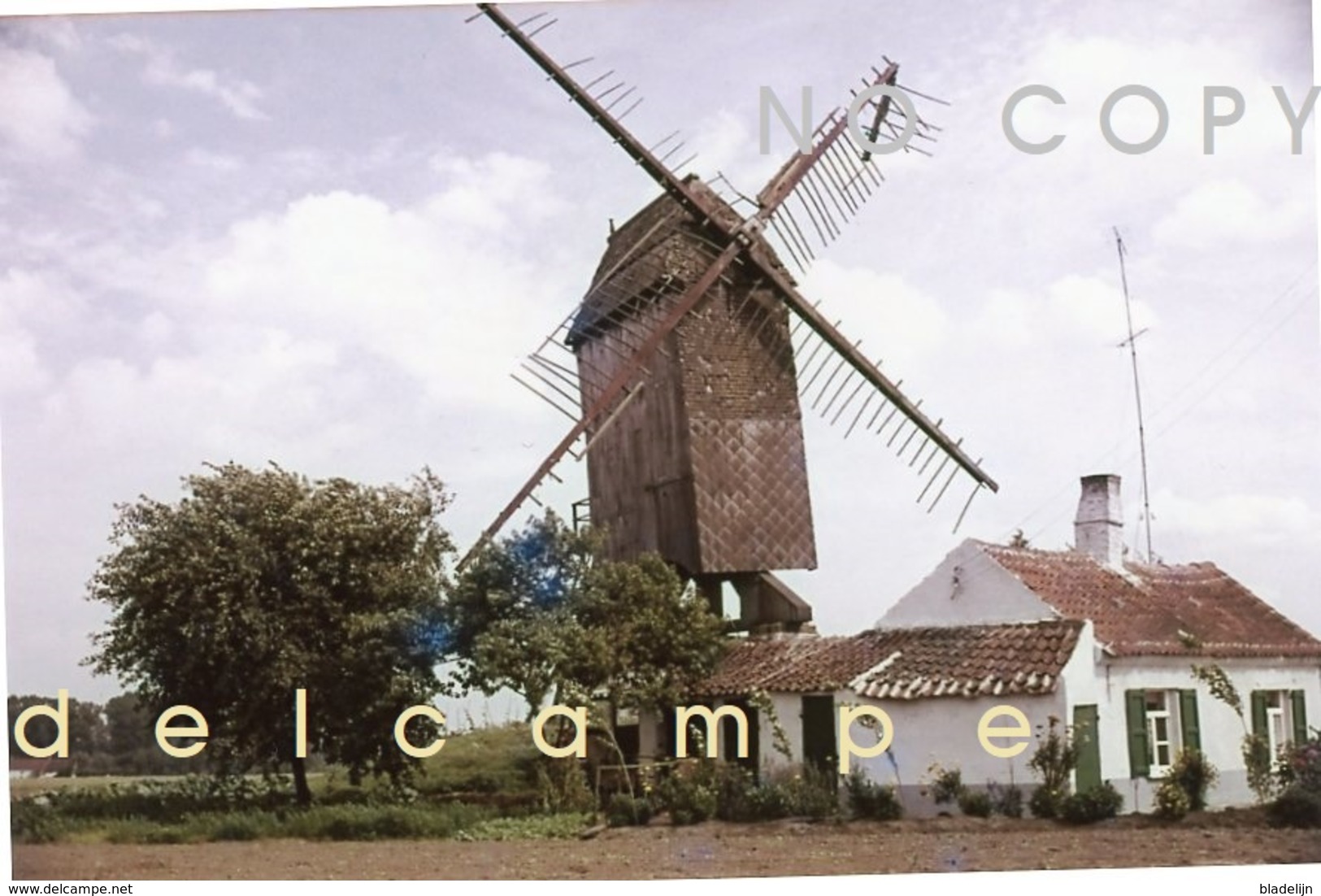 ZINGEM - Gemeente Kruisem (O.Vl.) - Molen/moulin - Historische Foto Van Meuleke 't Dal Voor De Restauratie Ca. 1960 - Lieux