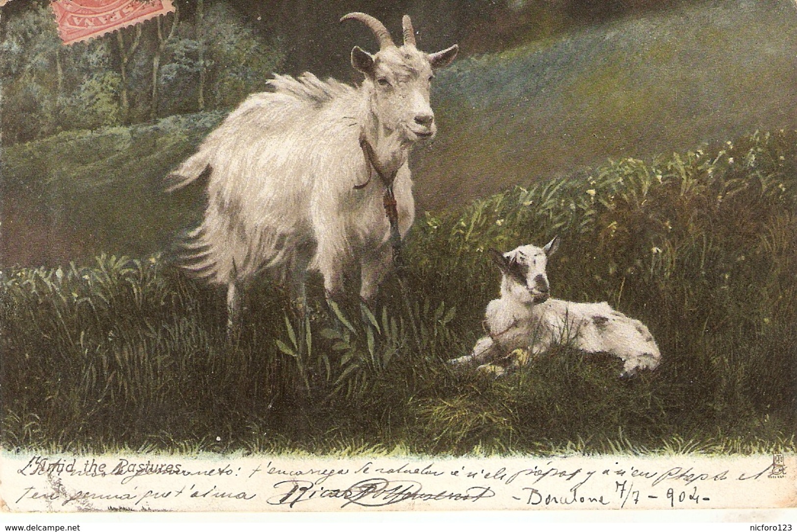 "Goats. Among The Pastures.."  Tuck Photochrome  Animal Life Ser.PC # 1417 - Tuck, Raphael