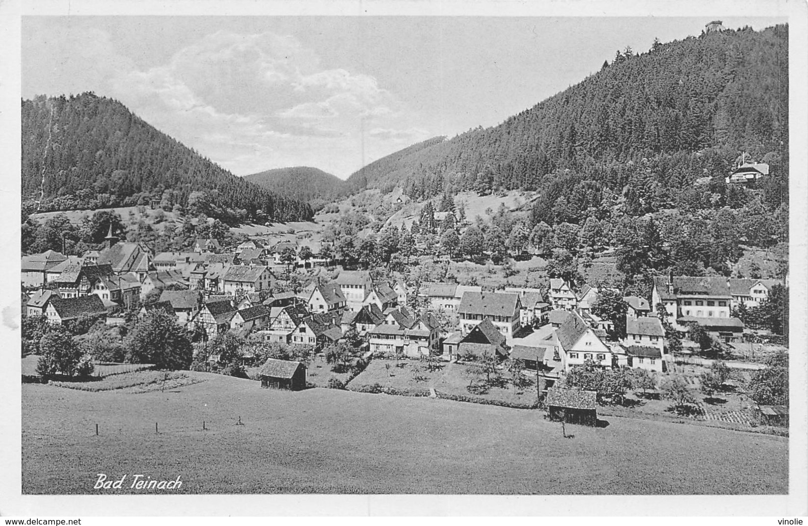 PIE-Z SDV-19-4855 : BAD TEINACH. - Bad Teinach