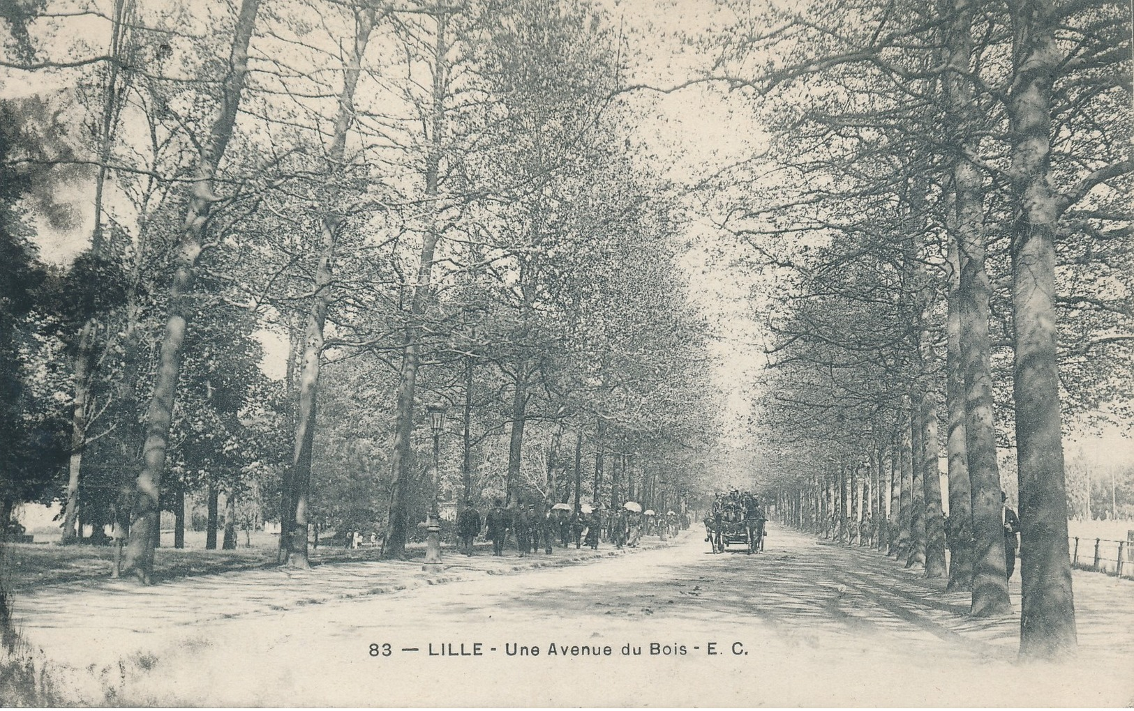 Lille EC 83 Une Avenue Du Bois Beau Plan TBE - Lille