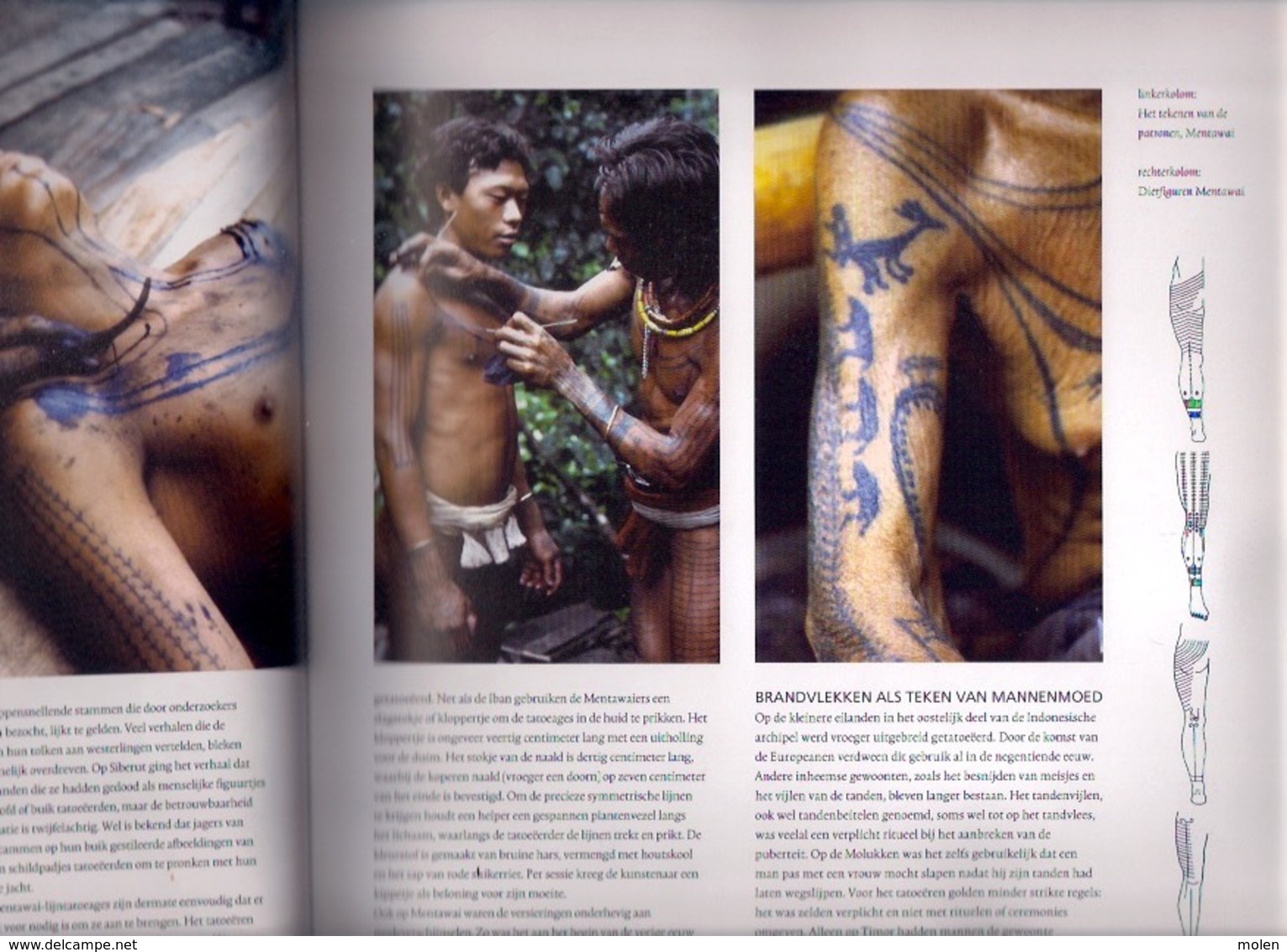 DE WERELD VAN TATOEAGE 304pg ca400 foto’s ©2005 Tatouage Tatou Tattoo Tatuaje Tatuaggio Piercing mode geschiedenis Z643
