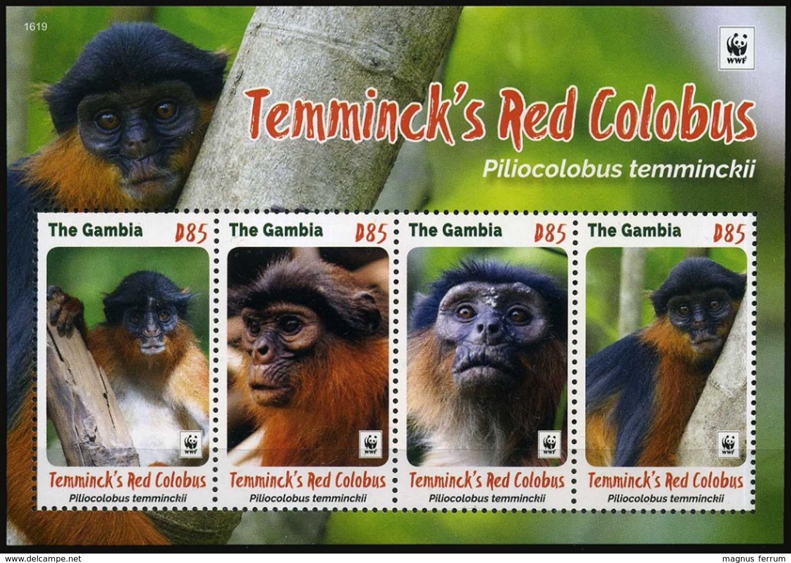 2016 Gambia, Monkeys, Temminck's Red Colobus, WWF,  Souvenir Sheet, MNH - Unused Stamps