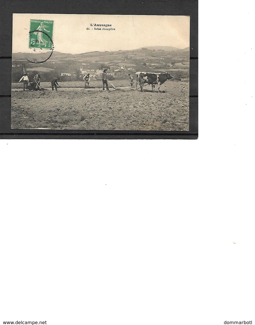 Auvergne - Landwirtschaftl. Anbau